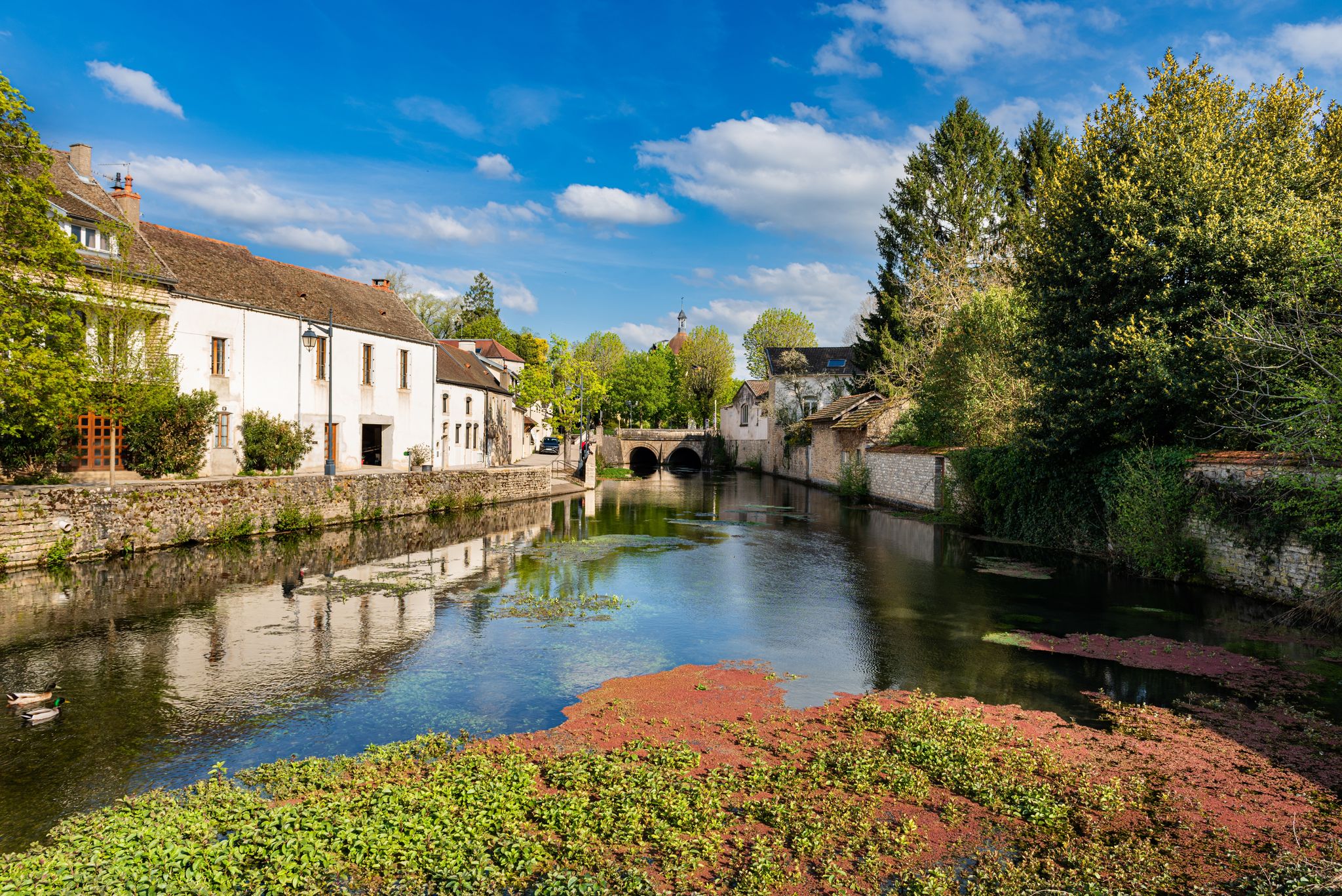 Spring atmosphere at Bouzaise river in Beaune, Burgundy, France