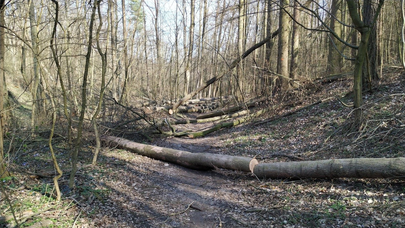 tin mountain, Znojmo-město, Znojmo, okres Znojmo, Jihomoravský kraj, Southeast, Czechia