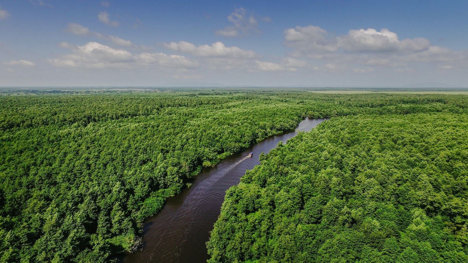 Kolkheti National Park, Poti, Samegrelo-Upper Svaneti, Georgia