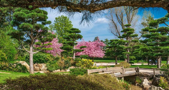 Photo of Japanese garden in Nordpark, Dusseldorf, Germany.