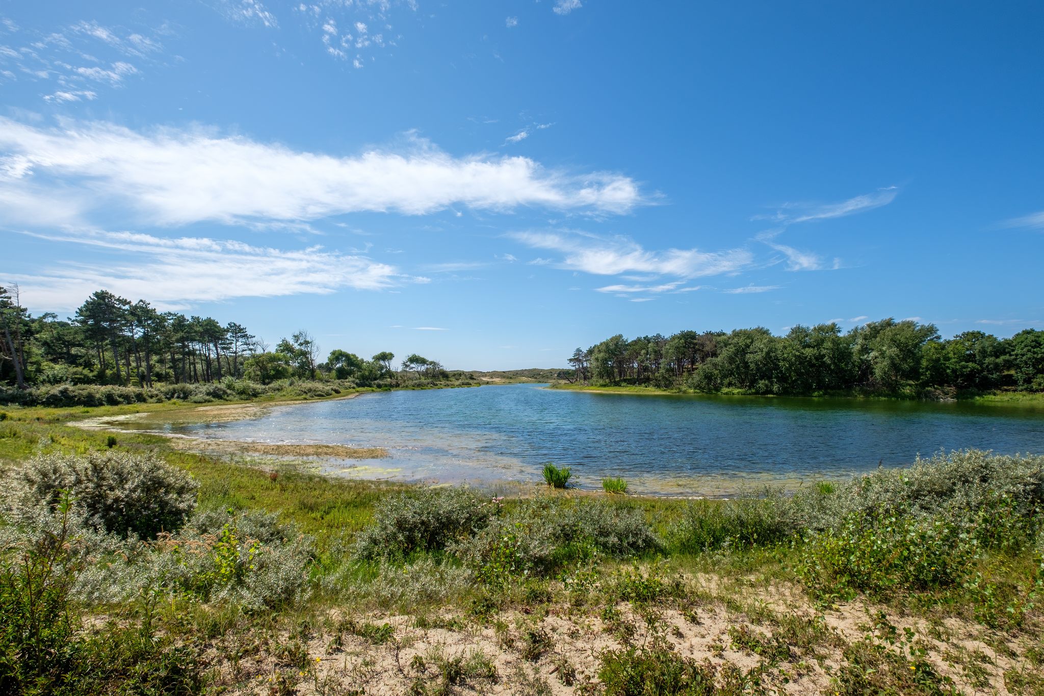 photo of coastal dune lake in the national park Meijendel near Wassenaar, the Netherlands.