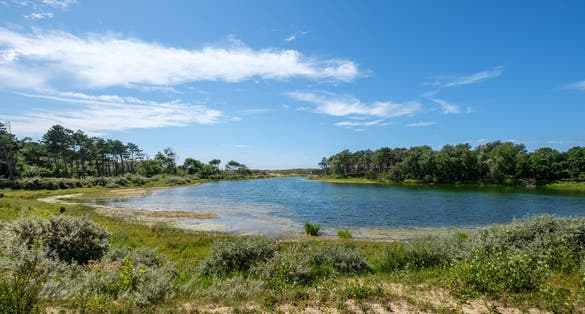 photo of coastal dune lake in the national park Meijendel near Wassenaar, the Netherlands.