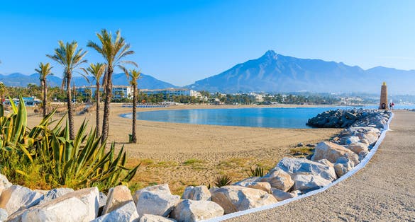 Photo of beautiful beach with palm trees in Marbella near Málaga and Puerto Banus marina, Costa del Sol, Spain