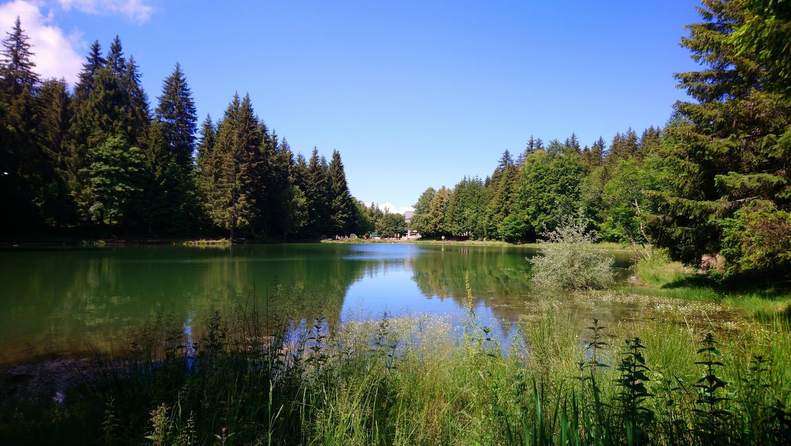 Lake Freydières, Revel, Grenoble, Isère, Auvergne-Rhône-Alpes, Metropolitan France, France