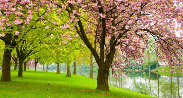 park of Tilburg, Netherland