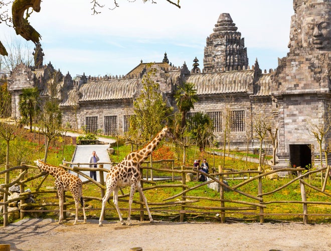 shutterstock_494705710 (2).jpg