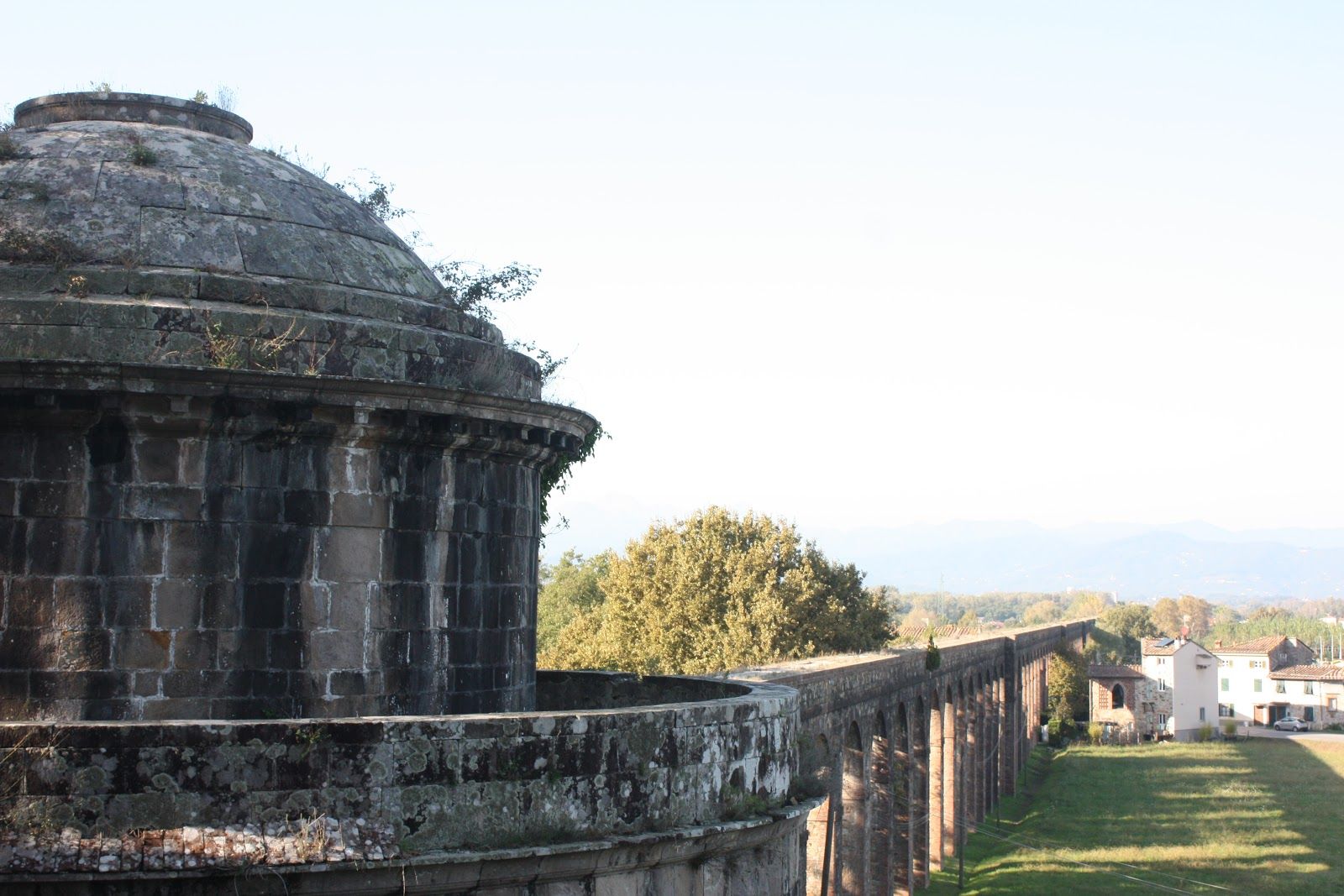 Parole D'oro, Capannori, Lucca, Tuscany, Italy
