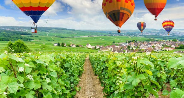 Photo of Colorful hot air balloons flying over champagne Vineyards at Montagne de Reims, France.