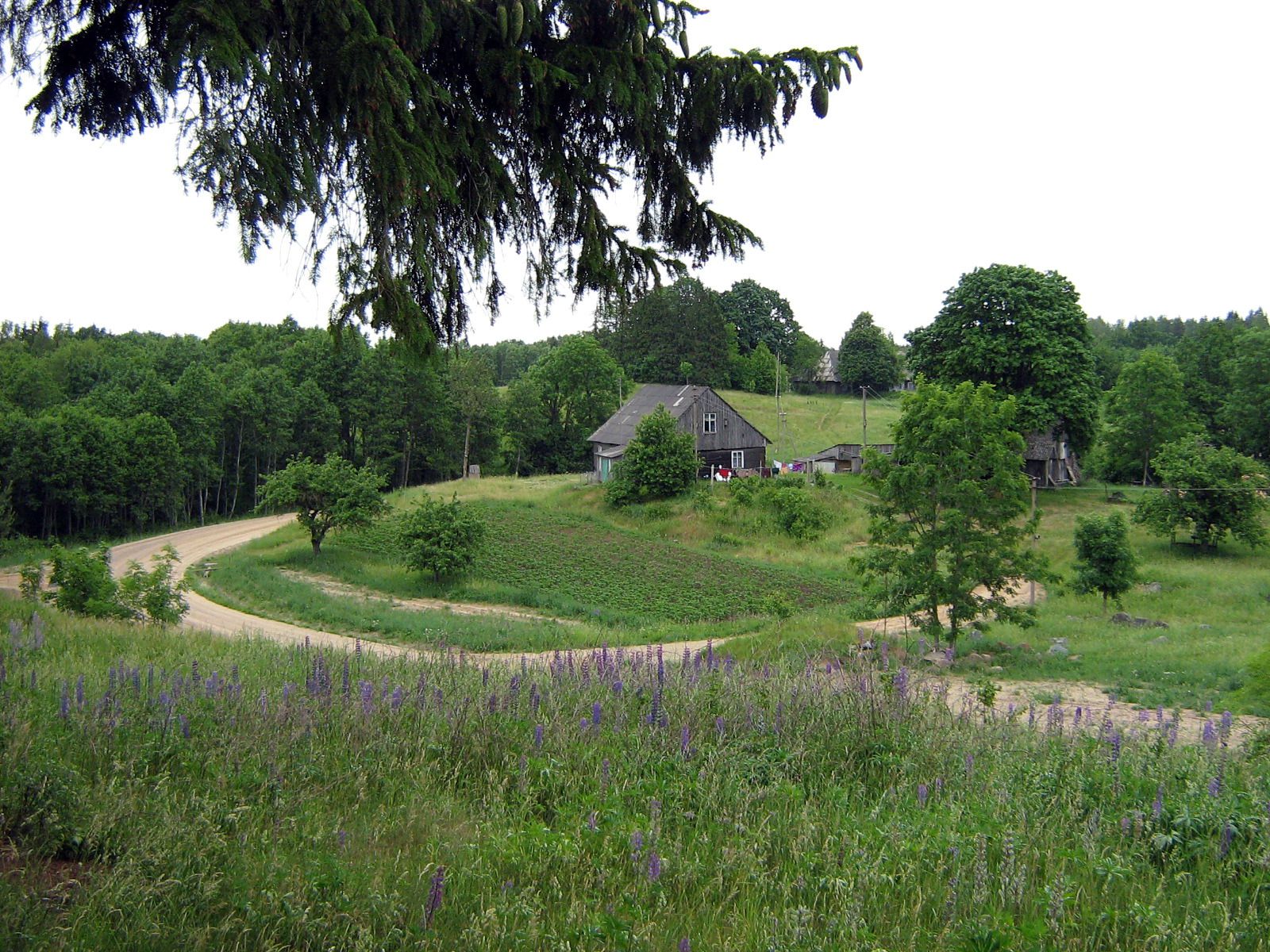 Platelių seniūnija - region in Lithuania