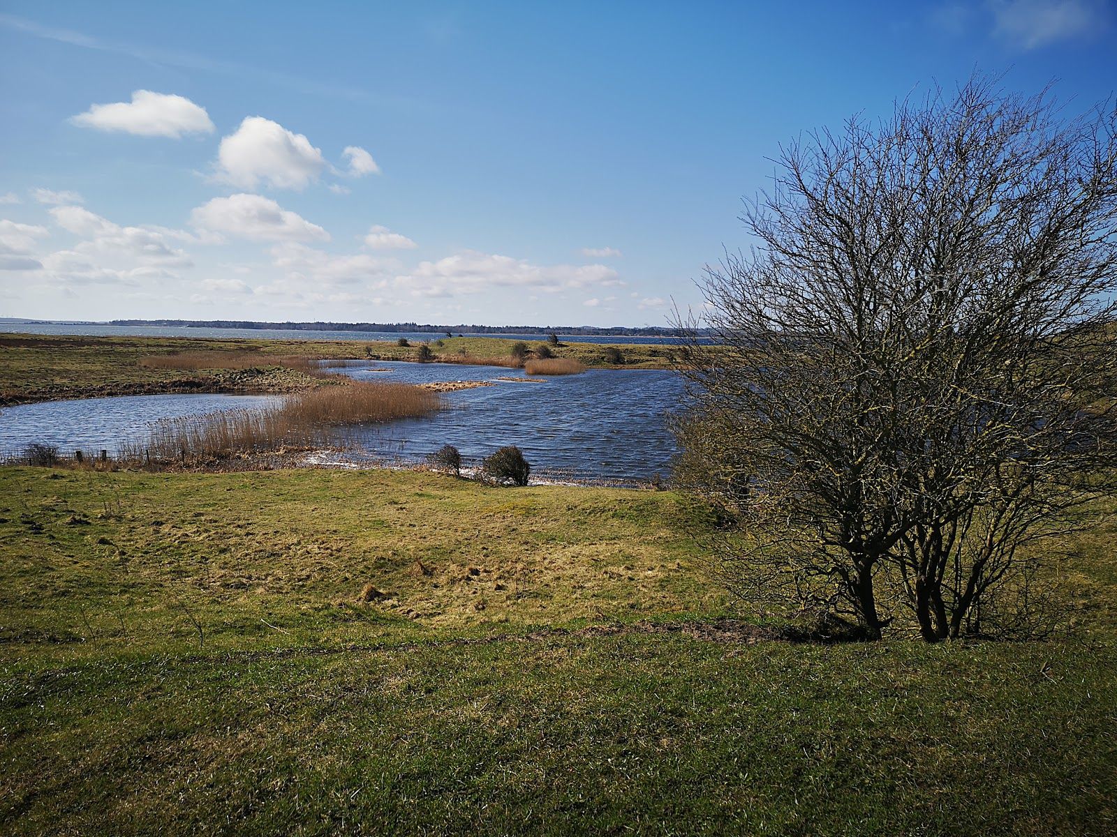 Ulbjerg Klint, Viborg Municipality, Central Denmark Region, Denmark