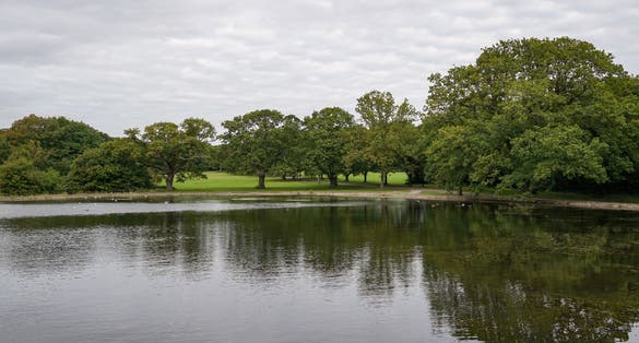 Photo of view over duck lake in the common park Southampton. parkland tree reflection in water, UK.