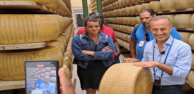 Parmesan Cheese Factory Tour & Tasting near Parma