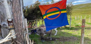 Honningsvag: North Cape and Sami Family Visit Trip