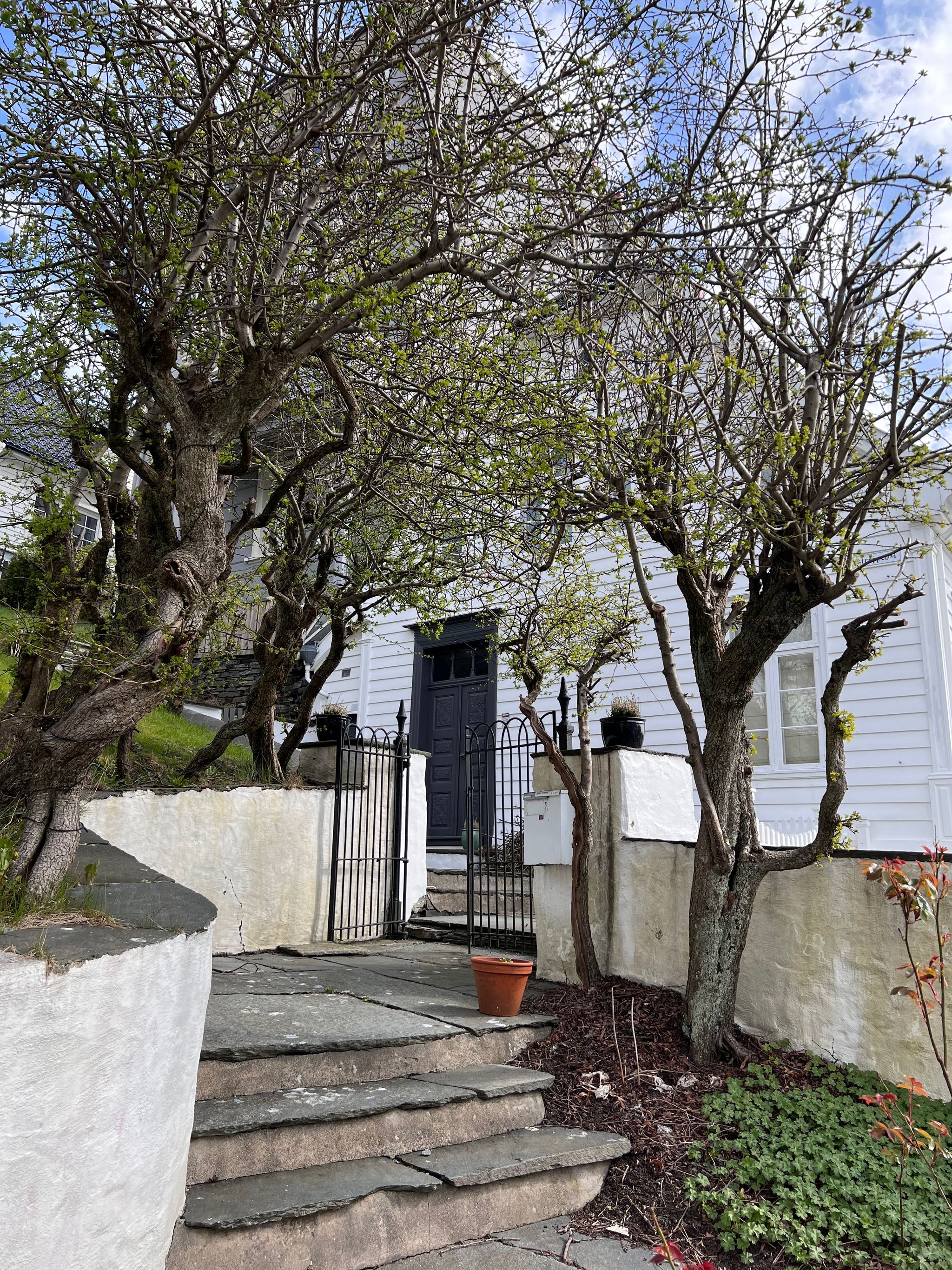 Old wooden houses in historic Nordnes Bergen Norway