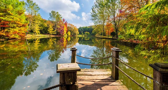 photo of Ataturk Arboretum in Sariyer district of Istanbul.