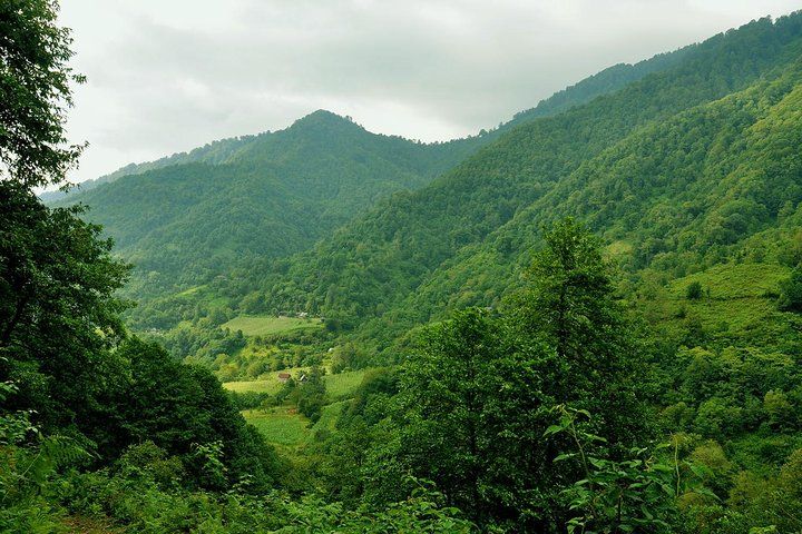 Mtirala National Park Tour