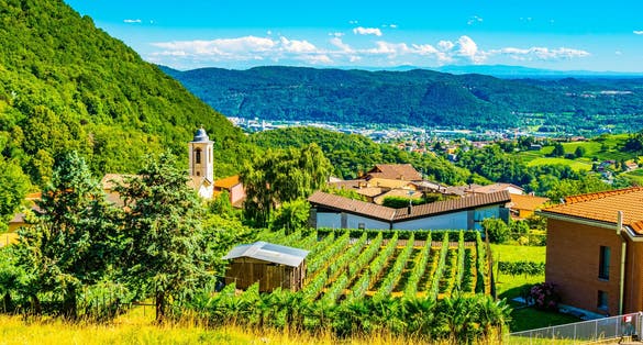 Photo of Mendrisio town in Switzerland viewed through vineyards.