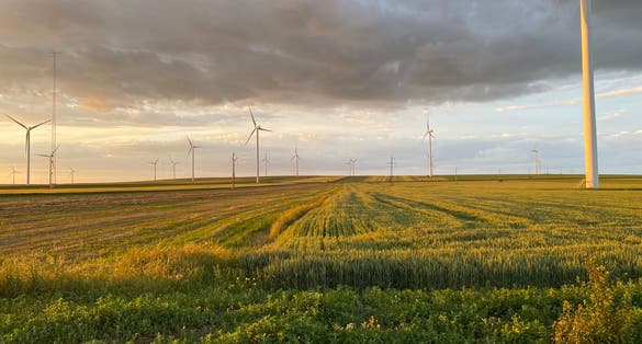 Photo of wind farm in Tulcea ,Romania.
