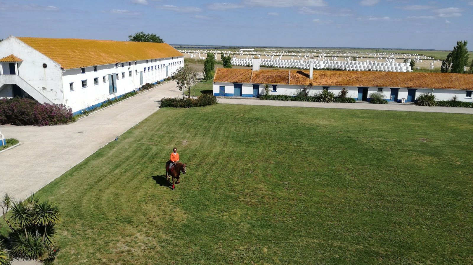 Tagus Estuary Nature Reserve, Vila Franca de Xira, Lisbon, Grande Lisboa, Área Metropolitana de Lisboa, Portugal