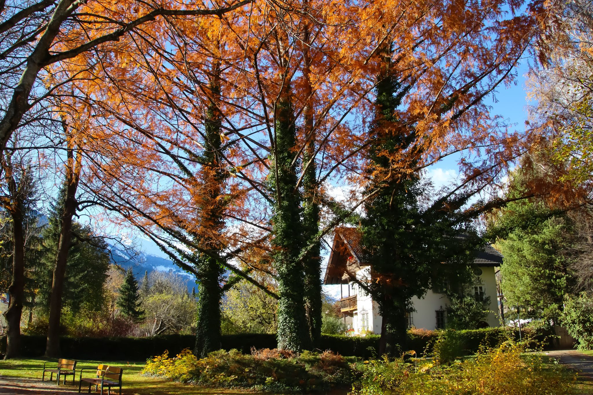 PHOTO OF VIEW OF Lienz Iselkai, Lienzer Dolomites, beautiful autumn, November.