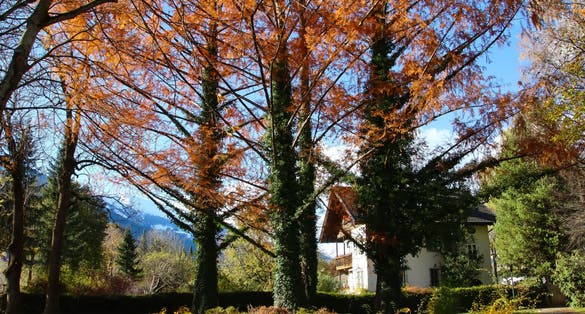 PHOTO OF VIEW OF Lienz Iselkai, Lienzer Dolomites, beautiful autumn, November.