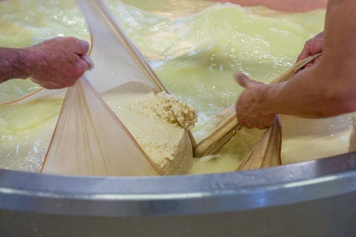 Parmigiano Reggiano Cheese Factory Tour & Tasting Experience