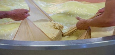 Parmigiano Reggiano Cheese Factory Tour & Tasting Experience