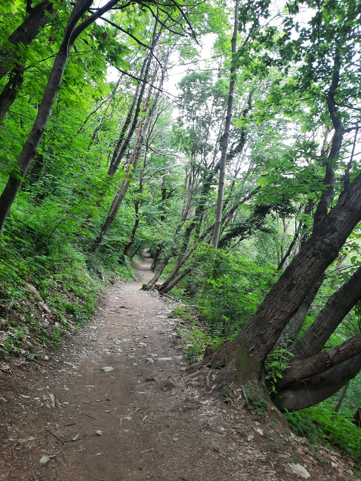 Maresana Hill, Ponteranica, Bergamo, Lombardy, Italy