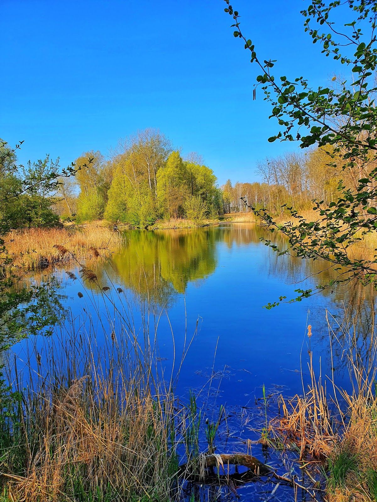 Traisen, St. Pölten, Lower Austria, Austria