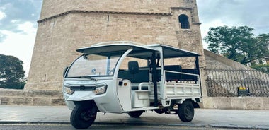 Valencia: Full 2-Hour Tuk Tuk Tour