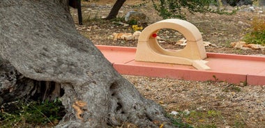 Tasting of our oil and game of 18 hole adventure golf