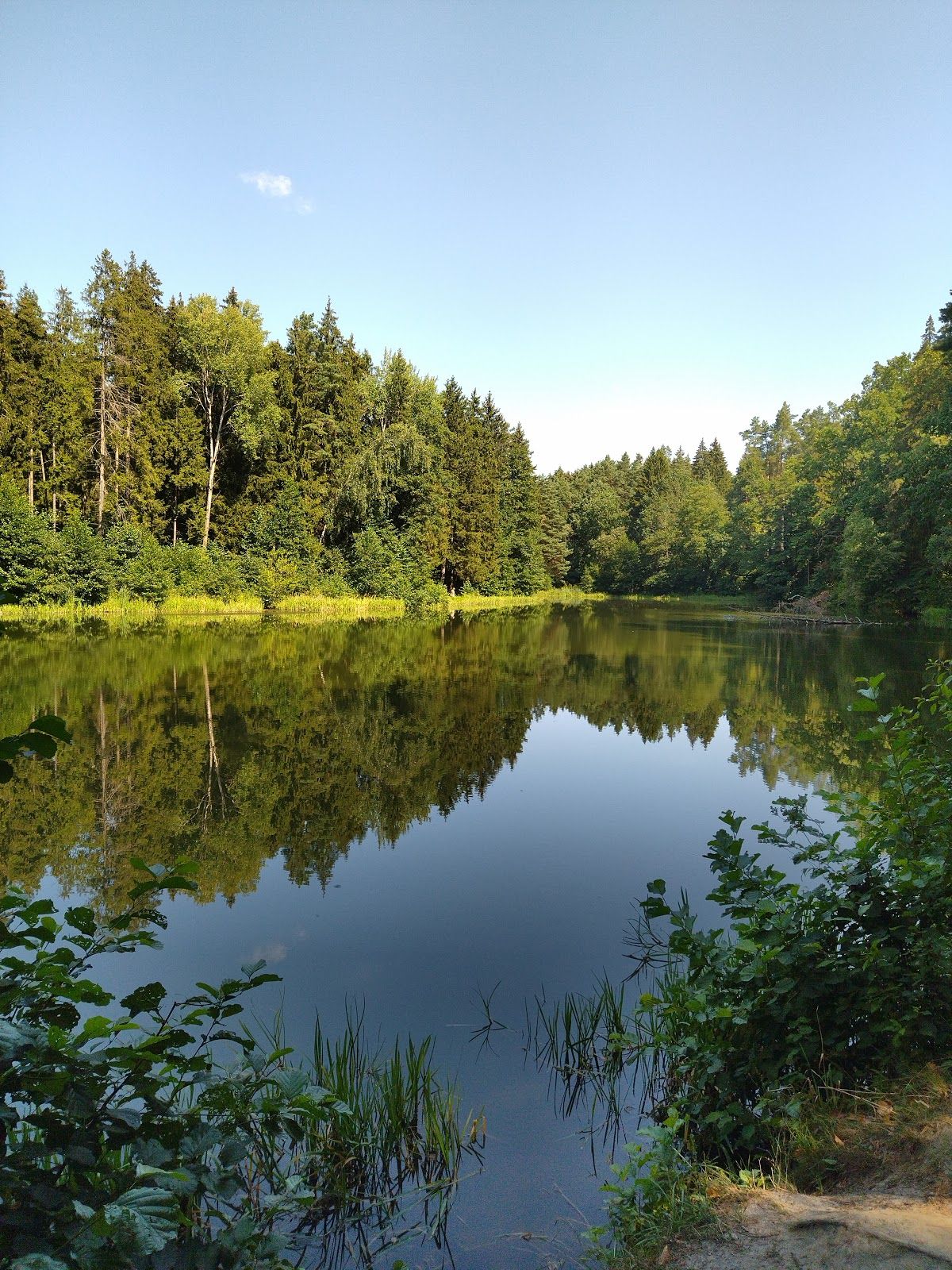 Piačerski Forest Park