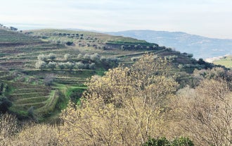 Best Time To Visit the Douro Valley: Exploring Portugal’s Wine Region