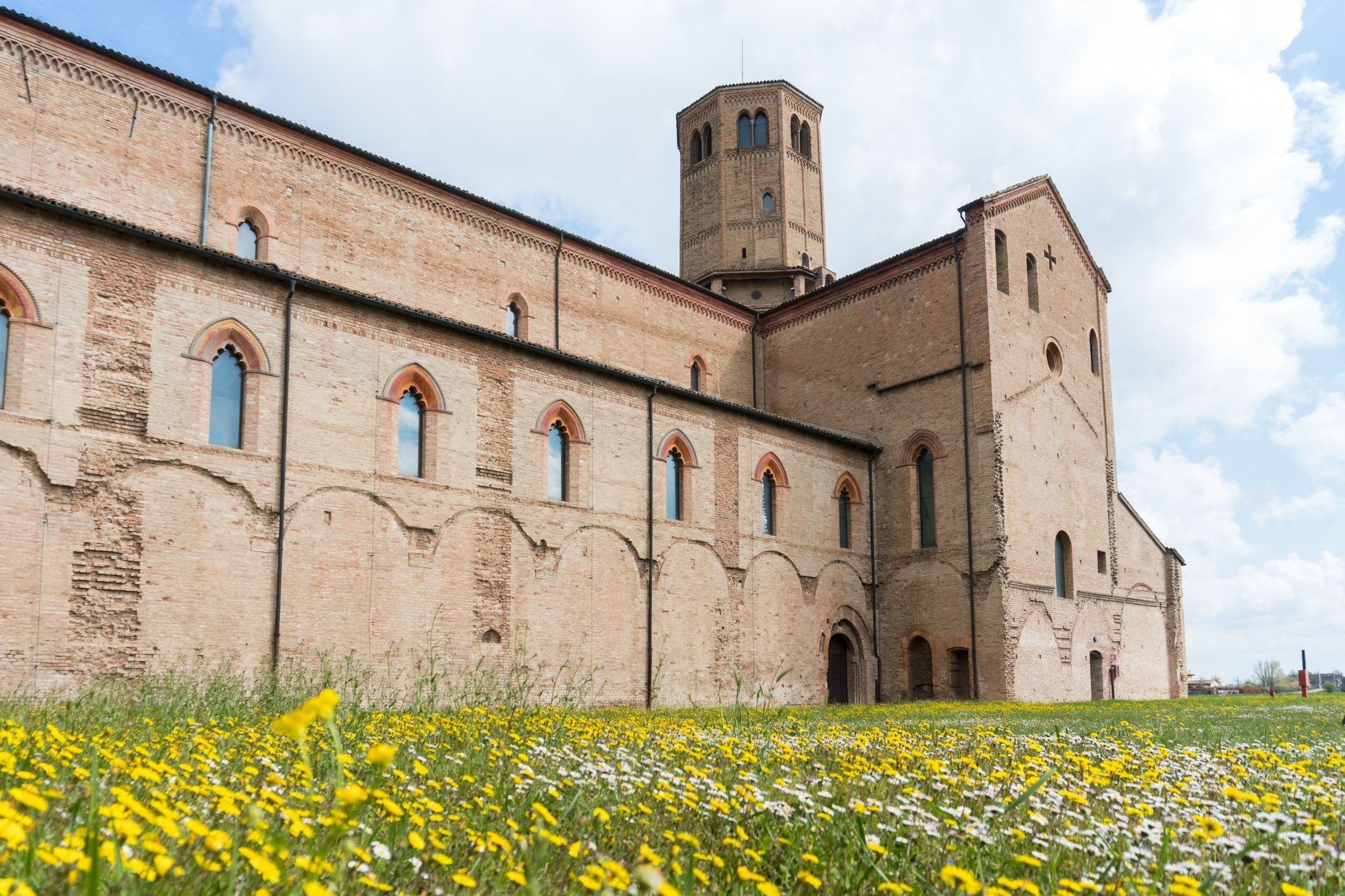 shutterstock_2226304163 (1).jpg