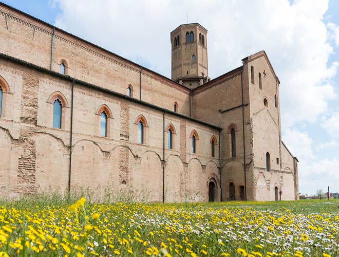 shutterstock_2226304163 (1).jpg