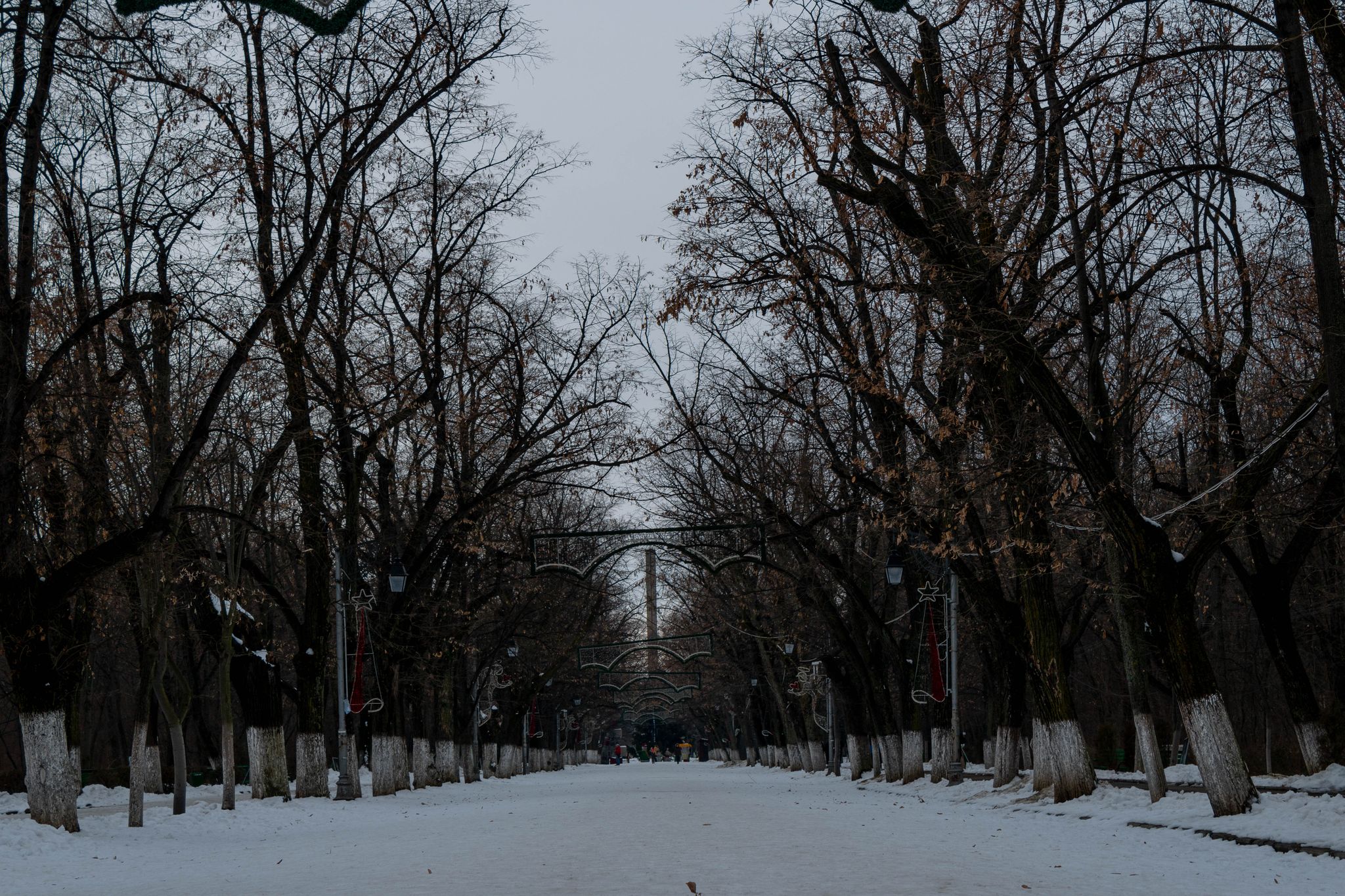 Photo of Crang Park From Buzau, Romania.
