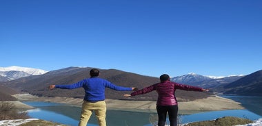 Private Transfer: Gudauri to Tbilisi/Airport - Comfort & Safety