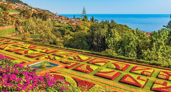 Photo of botanical garden in Funchal, Madeira, Portugal.