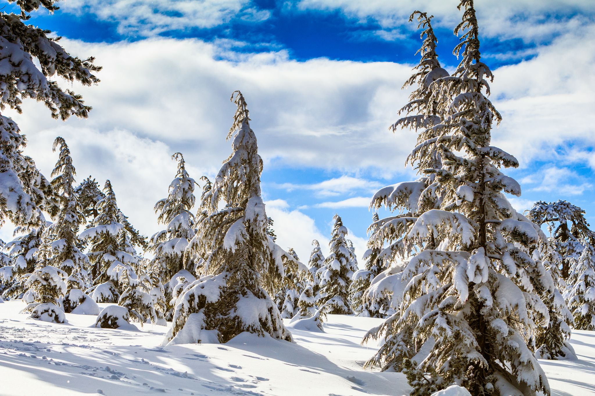 Photo of the impressive Mount Olympus with its idyllic forests stretches across most of the western side of Cyprus.