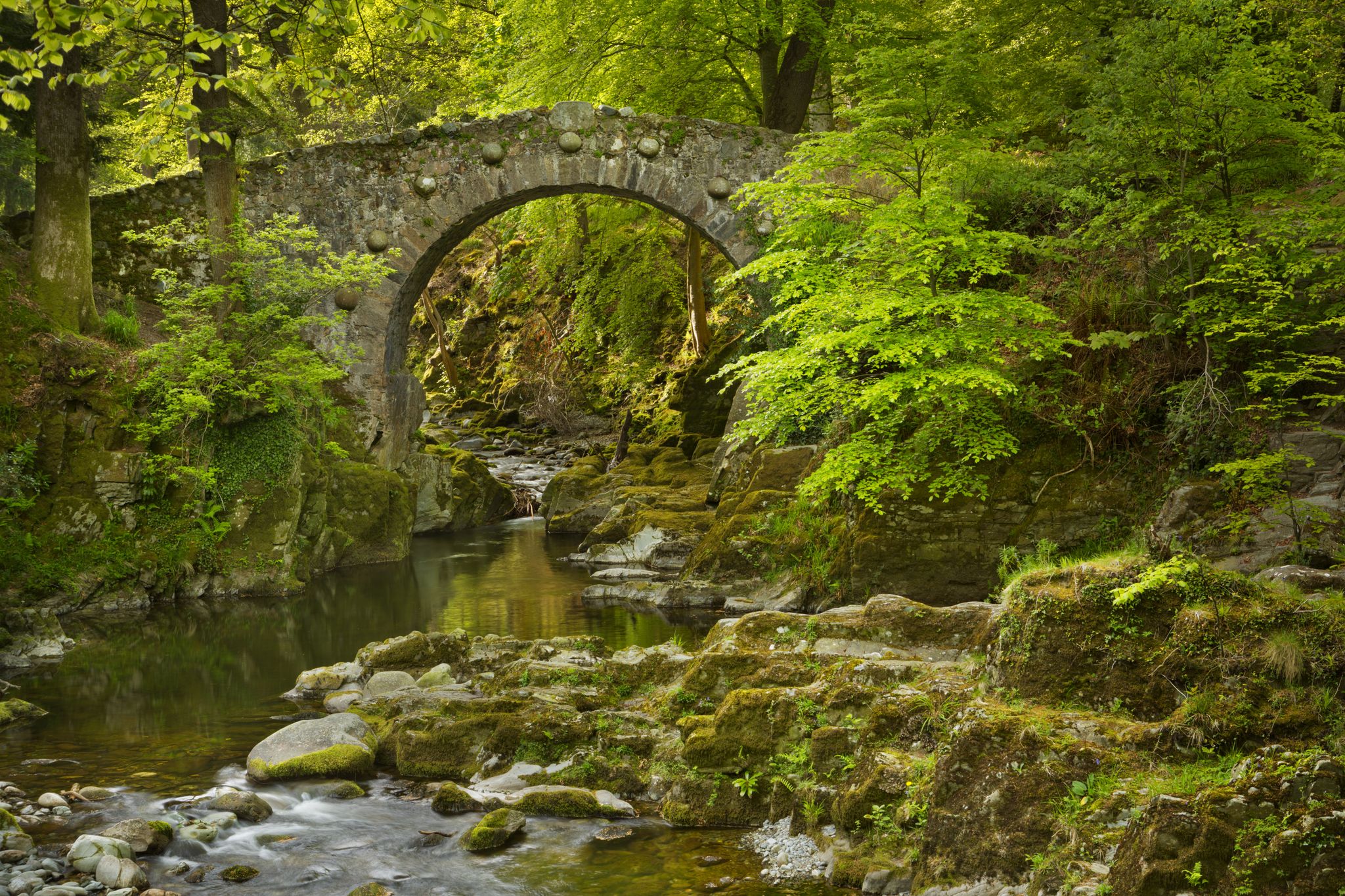 Foley's Bridge over the Shimna River in Tollymore Forest Park, Northern Ireland.