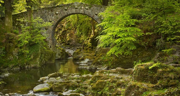 Foley's Bridge over the Shimna River in Tollymore Forest Park, Northern Ireland.