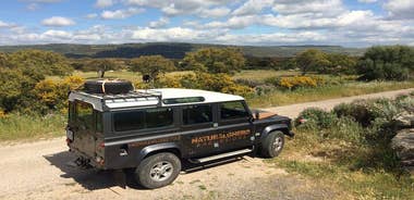 Alghero: Jeep tour to discover nature and breathtaking landscapes