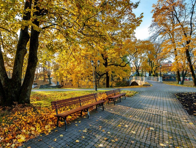 shutterstock_2390041293.jpg