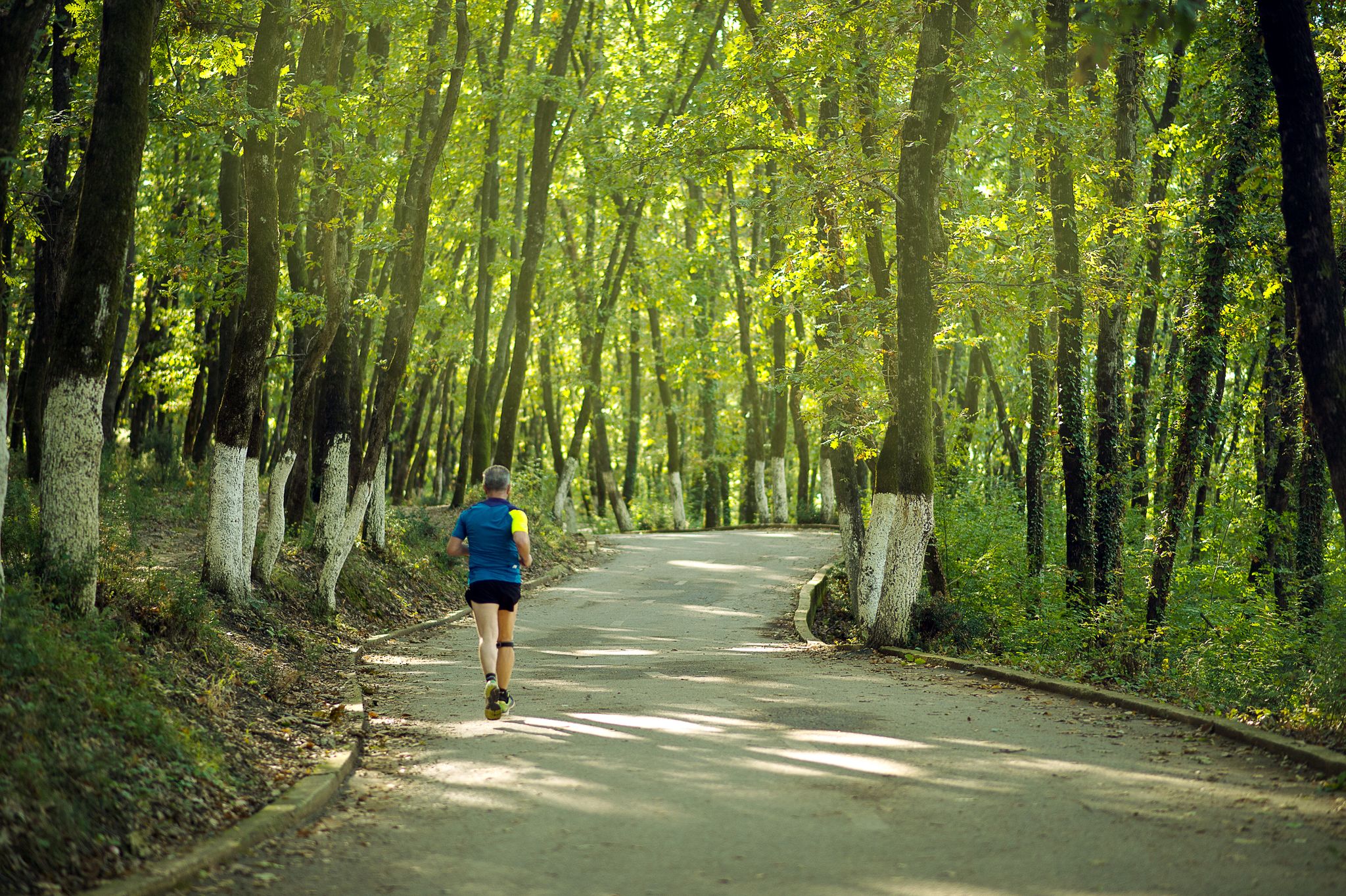 Photo of man jogging in Grand Park of Tirana.