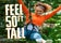 Go Ape Aberfoyle (Treetop Challenge, Zip Lines, High Ropes), Stirling, Scotland, United Kingdom
