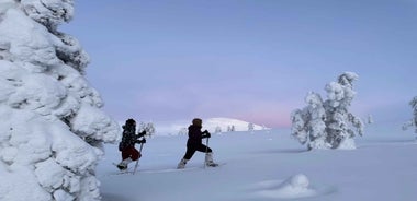 Levi: Pallas-Yllästunturi National Park Snowshoeing Tour