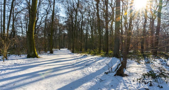 photo of view of A walk at te recreation area Sechs-Seen-Platte in Duisburg Wedau on a sunny and cold winter day, Duisburg, Germany.