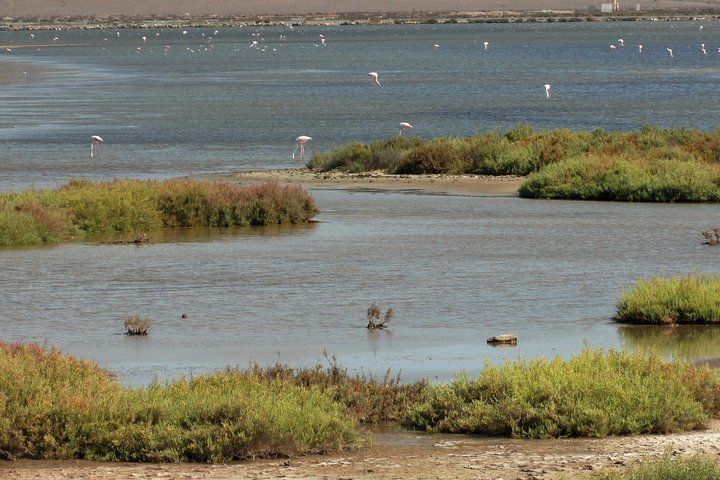 Cabo de Gata Natural Park from Roquetas, Aguadulce & Almeria