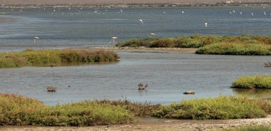 Cabo de Gata Natural Park from Roquetas, Aguadulce & Almeria