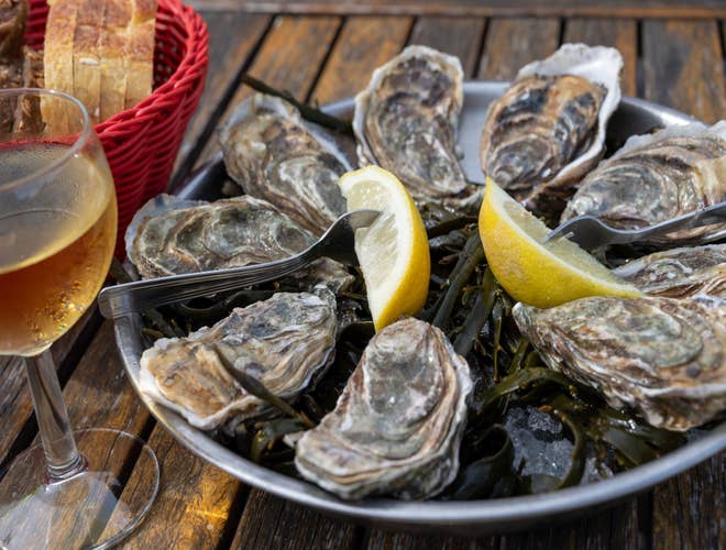 shutterstock_2481768051 (1).jpg